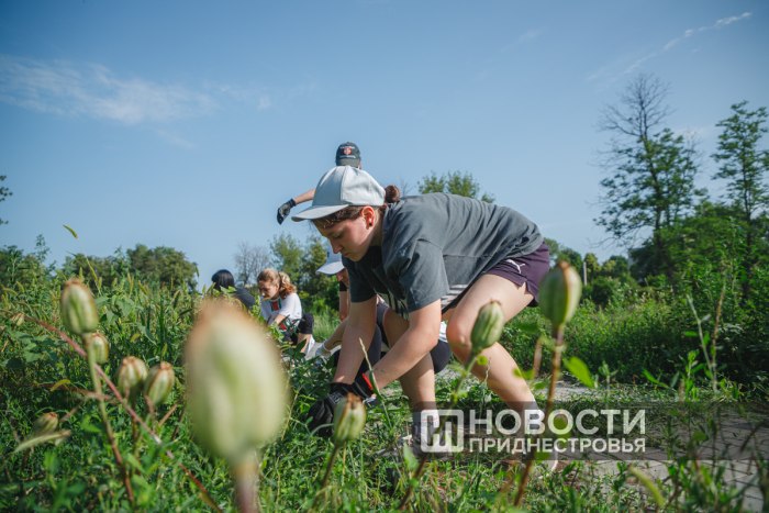Почти 200 школьников трудоустроены в Слободзейском районе на время летних каникул