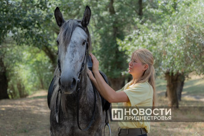 Как любовь к лошадям привела к созданию конного клуба