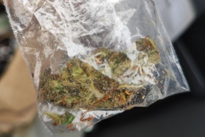 Сотрудники Дубоссарской таможни изъяли почти полкилограмма марихуаны