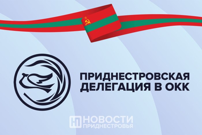 Приднестровская делегация в ОКК призвала молдавскую сторону разблокировать работу комиссии 