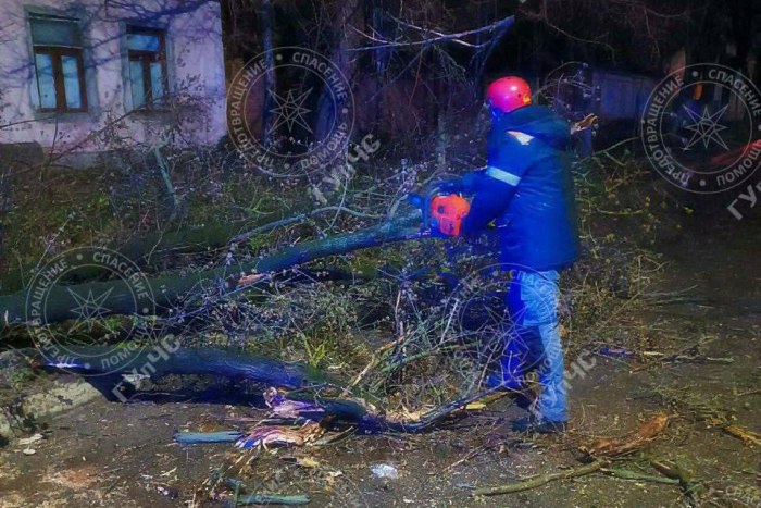 Последствия непогоды 25 марта: ветер повалил четыре дерева 
