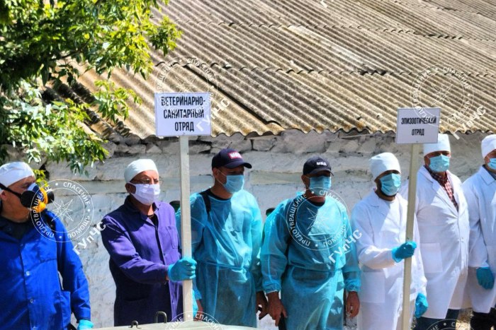 В Рыбницком районе ликвидировали условный очаг птичьего гриппа