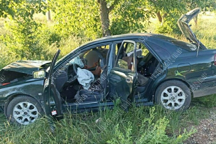 На трассе Григориополь – Колосово отвлёкшийся водитель врезался в дерево 