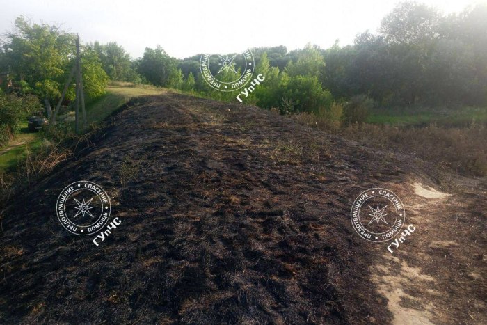 Полтора гектара сухостоя сгорело в Слободзее 