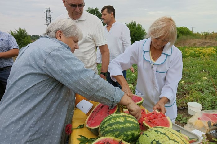 Приднестровские селекционеры презентовали необычные сорта арбуза и дыни