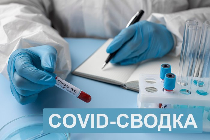 Лечение от коронавируса в стационарах проходят 17 человек 