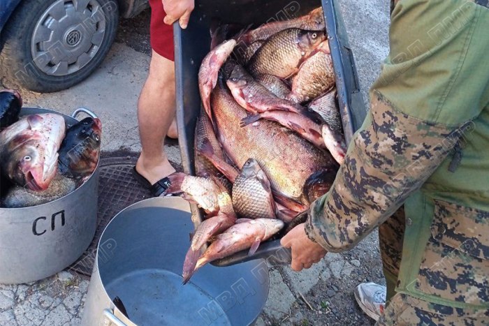 В Первомайске задержали браконьеров, выловивших в лимане 100 кг рыбы