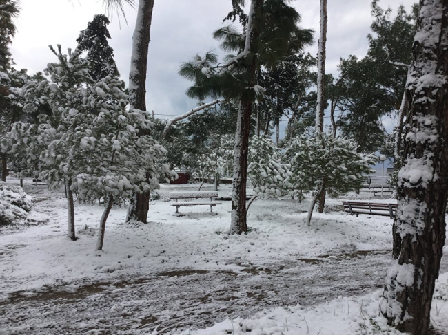 Источник:  РИА Новости. Геннадий Мельник